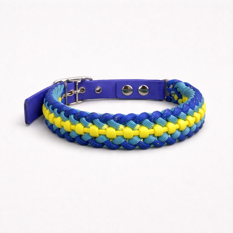 Collar Multicolor Delgado (XS)