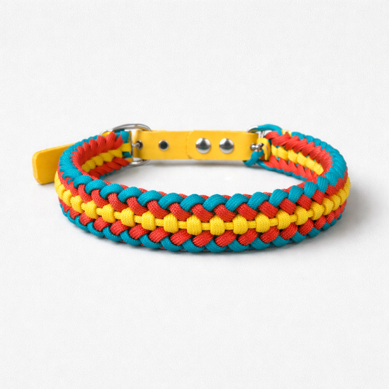 Collar Multicolor Delgado (M)