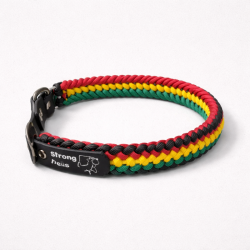 Collar Multicolor Delgado (L)