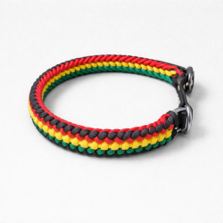 Collar Multicolor Delgado (L)
