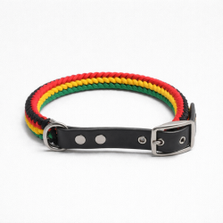 Collar Multicolor Delgado (L)