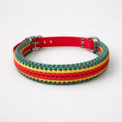 Collar Multicolor Grueso (L)