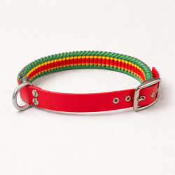 Collar Multicolor Grueso (L)