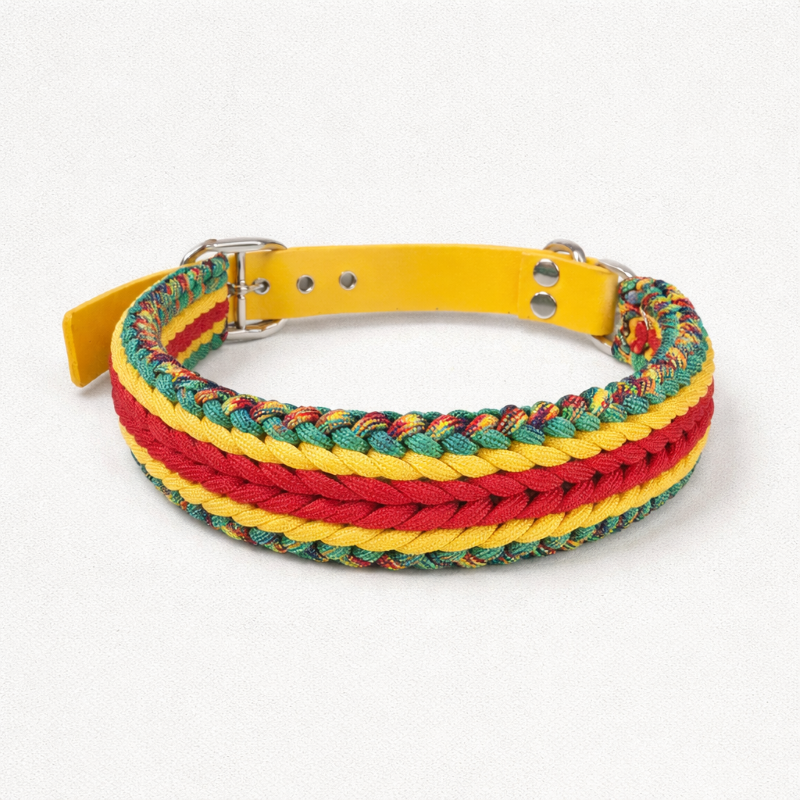 Collar Multicolor Grueso (L)