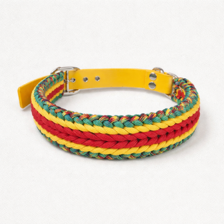 Collar Multicolor Grueso (L)
