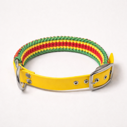 Collar Multicolor Grueso (L)