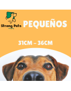 S (Pequeño)