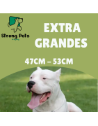 XL (Extra Grande)