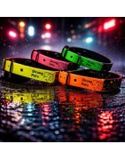 Collares (Biothane)